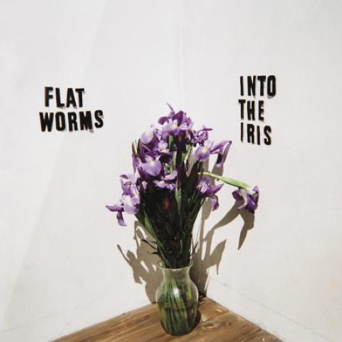 Pochette de Into The Iris
