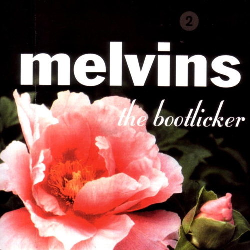 Pochette de The Bootlicker