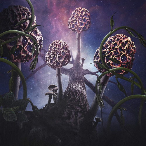 Pochette de Hallucinogen