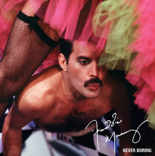 Pochette de Never Boring