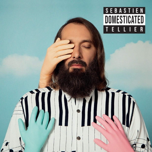 Pochette de Domesticated
