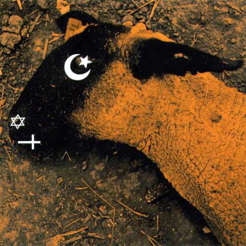 Animositisomina