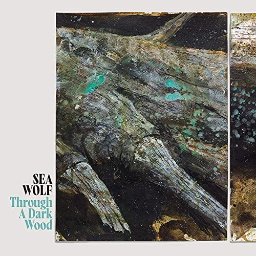 Pochette de Through A Dark Wood