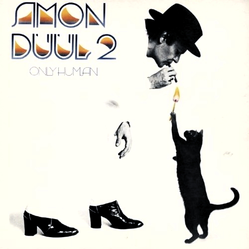 Pochette de Only Human