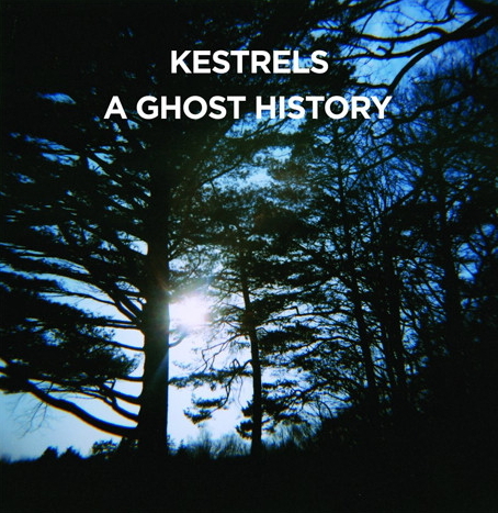 Pochette de A Ghost History