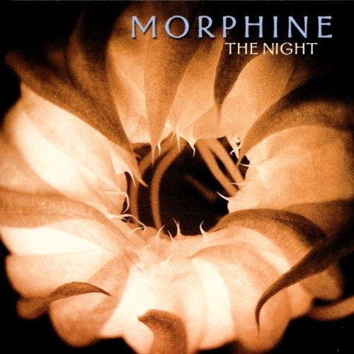 Pochette de The Night
