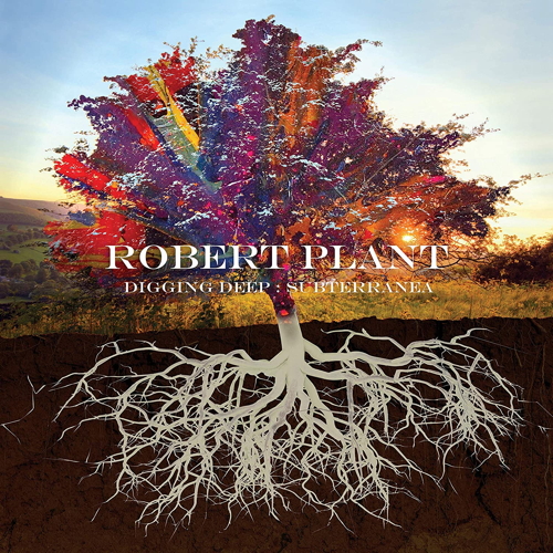 Pochette de Digging Deep: Subterranea