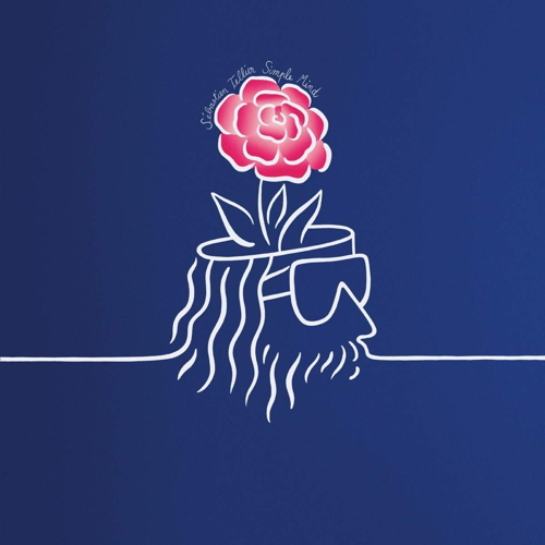 Pochette de Simple Mind