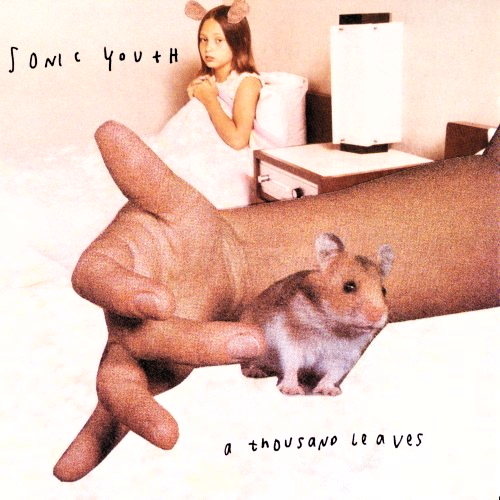 Pochette de A Thousand Leaves