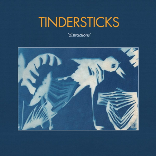 Pochette de Distractions