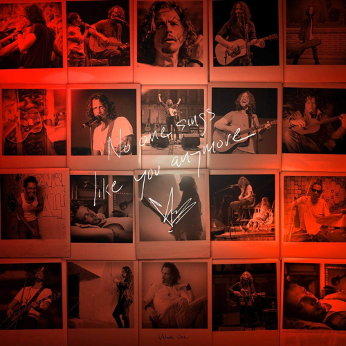 Pochette de No One Sings Like You Anymore