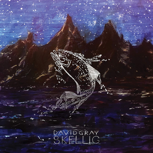 Pochette de Skellig