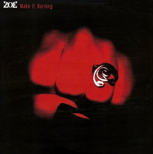 Pochette de Make It Burning