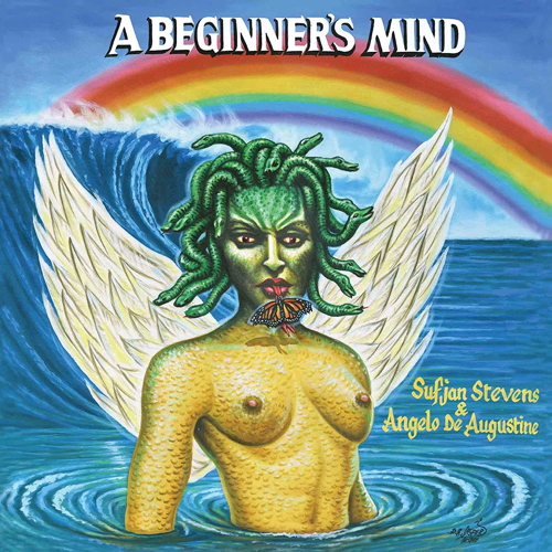 Pochette de A Beginner's Mind