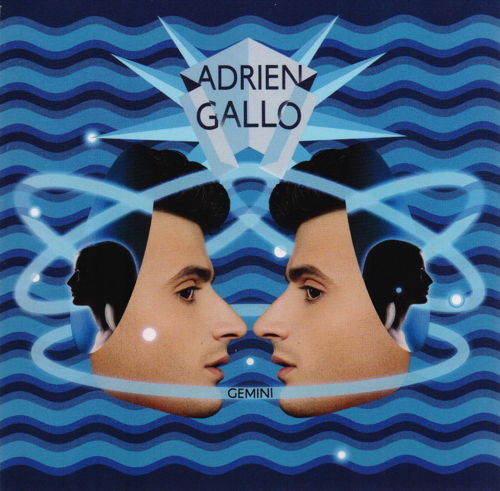 Pochette de Gemini