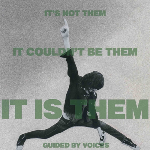 Pochette de It's Not Them It Couldn't Be Them It Is Them