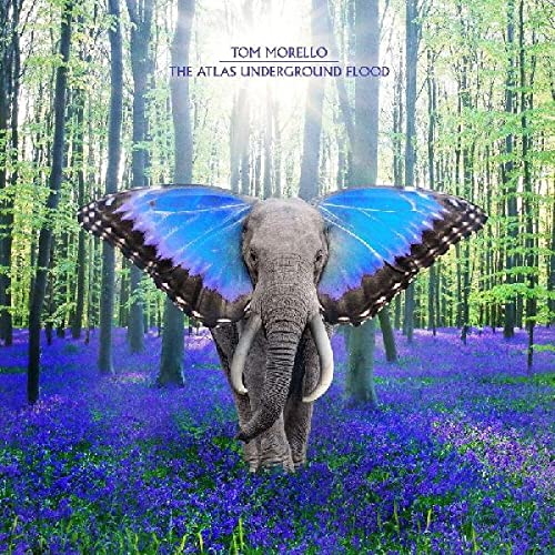 Pochette de The Atlas Underground Flood