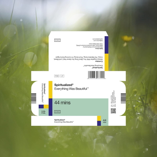 Pochette de Everything Was Beautiful