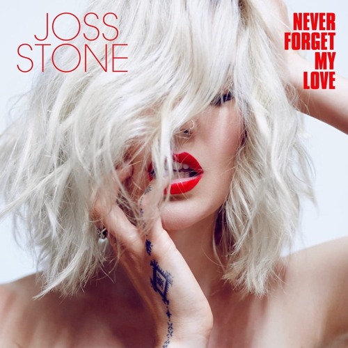 Pochette de Never Forget My Love