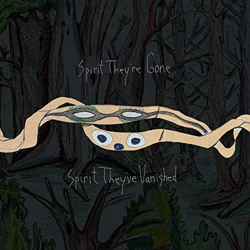 Pochette de Spirit They’re Gone, Spirit They’ve Vanished