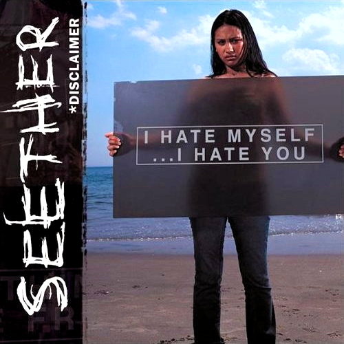Pochette de Disclaimer