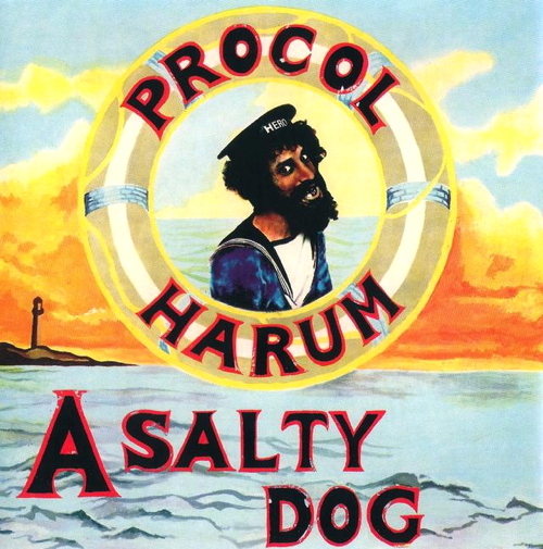 Pochette de A Salty Dog