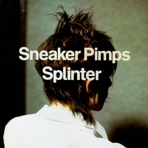 Pochette de Splinter