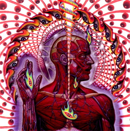 Pochette de Lateralus