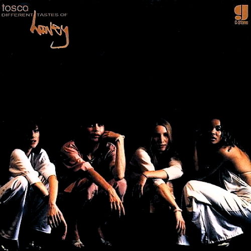 Pochette de Different Tastes Of Honey