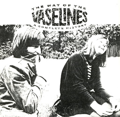 The Way Of The Vaselines: A Complete History