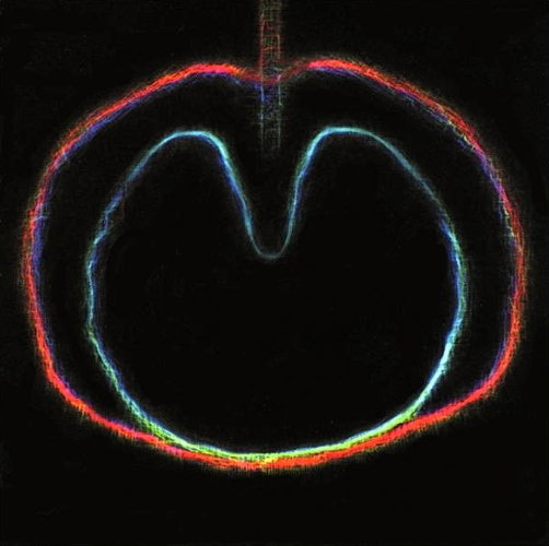 Wasp Star (Apple Venus, Pt. 2)
