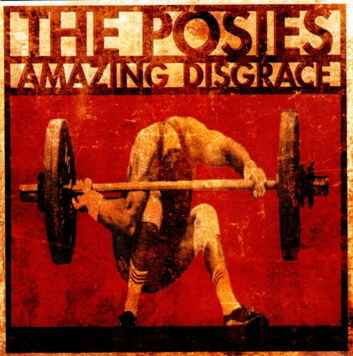 Pochette de Amazing Disgrace