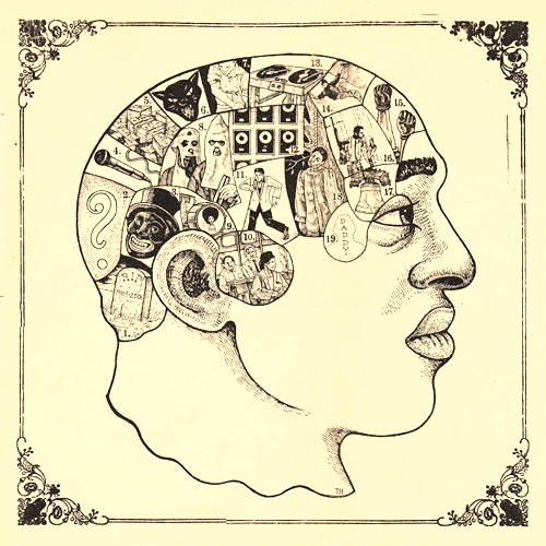 Pochette de Phrenology