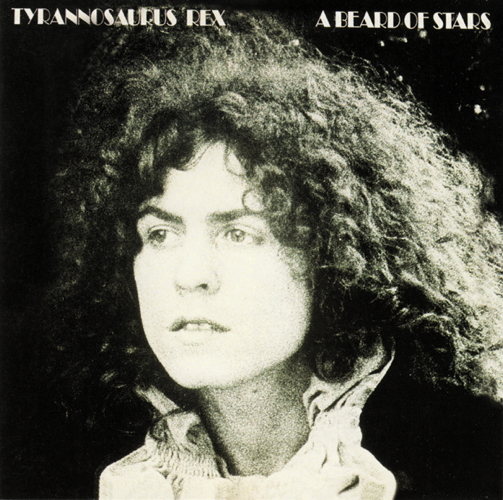 Pochette de A Beard Of Stars