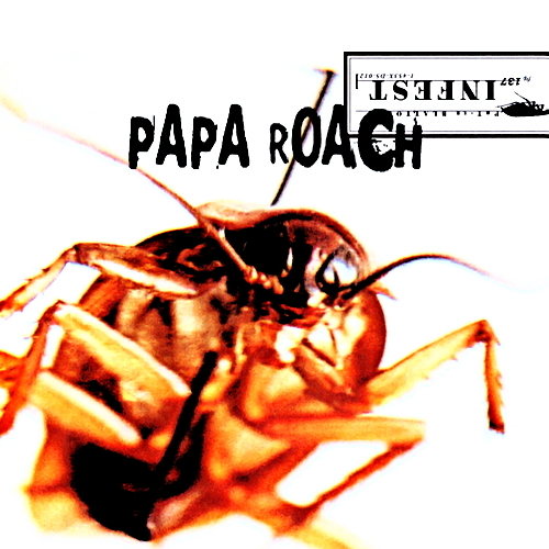 Pochette de Infest