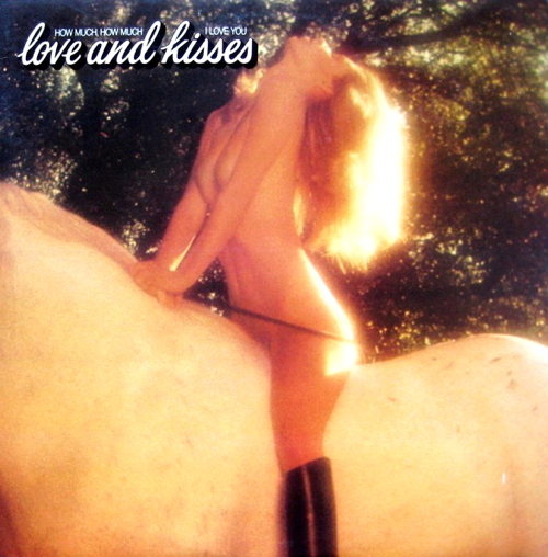 Pochette de How Much, How Much I Love You