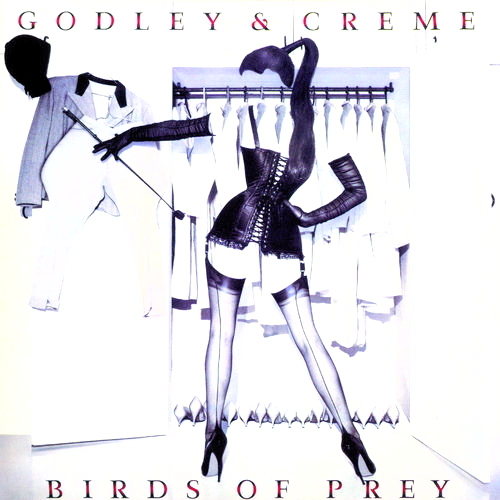 Pochette de Birds Of Prey