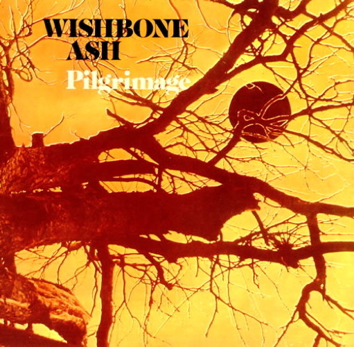 Pochette de Pilgrimage