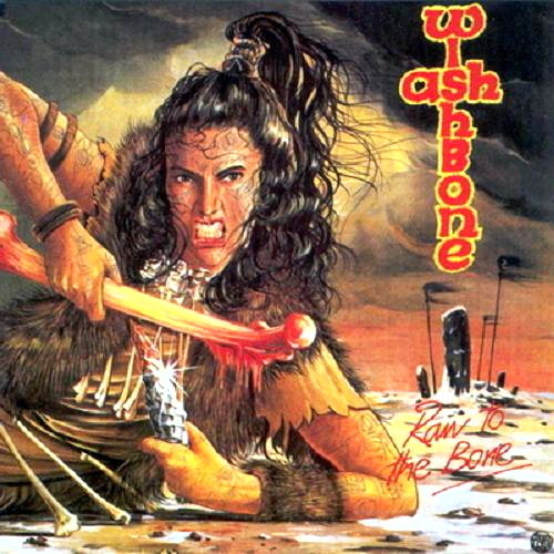 Pochette de Raw To The Bone