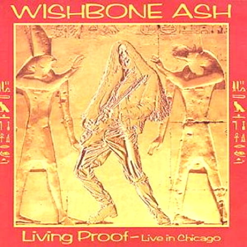 Pochette de Living Proof - Live In Chicago