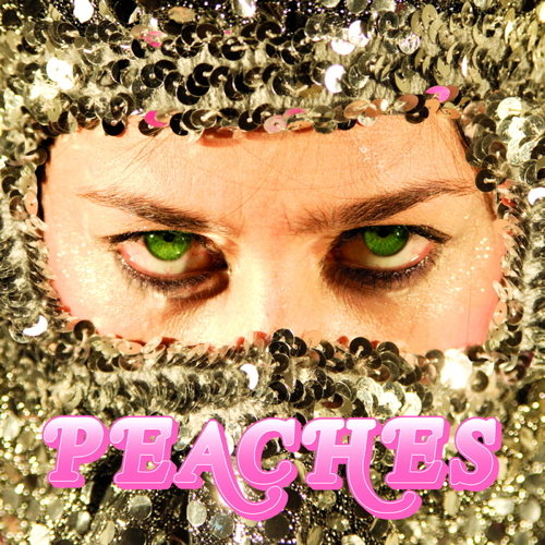 Pochette de Impeach My Bush