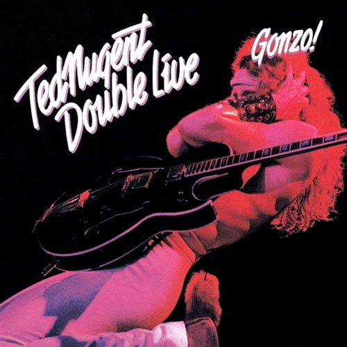 Pochette de Double Live Gonzo!