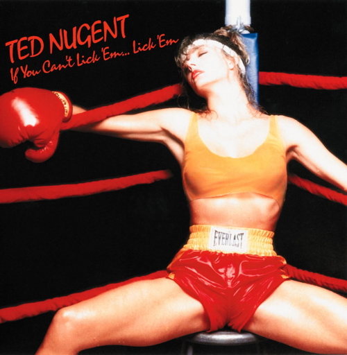 Pochette de If You Can't Lick 'Em...Lick 'Em