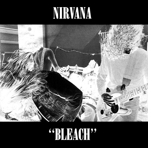 Pochette de Bleach