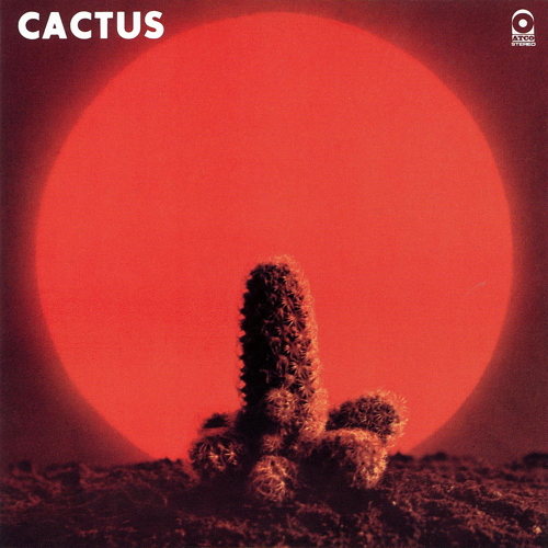 Pochette de Cactus