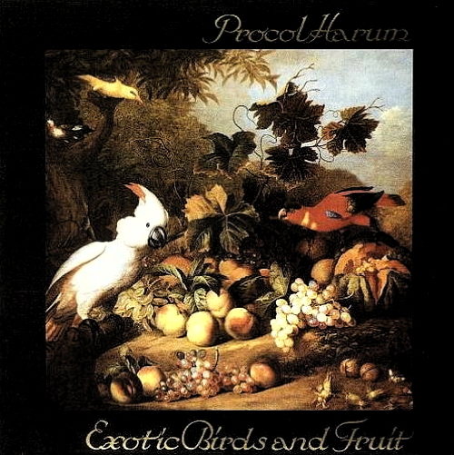 Pochette de Exotic Birds And Fruit