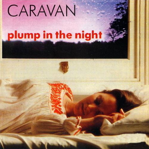 For Girls Who Grow Plump In The Night