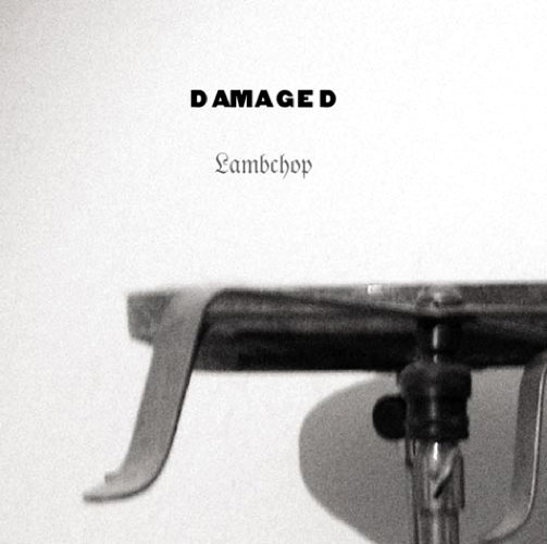 Pochette de Damaged