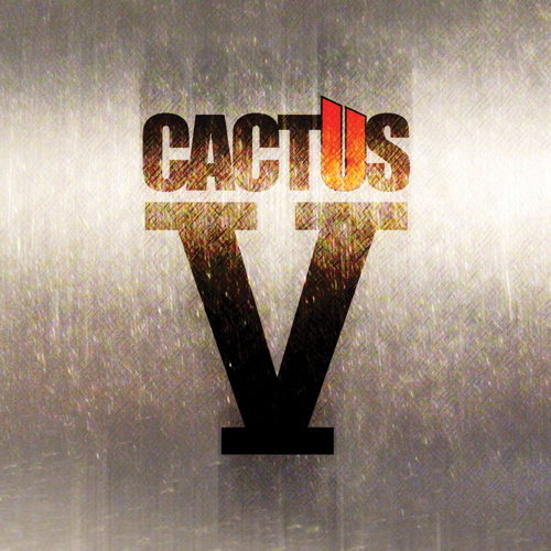 Pochette de V