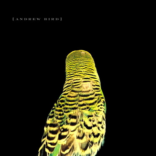Pochette de Armchair Apocrypha